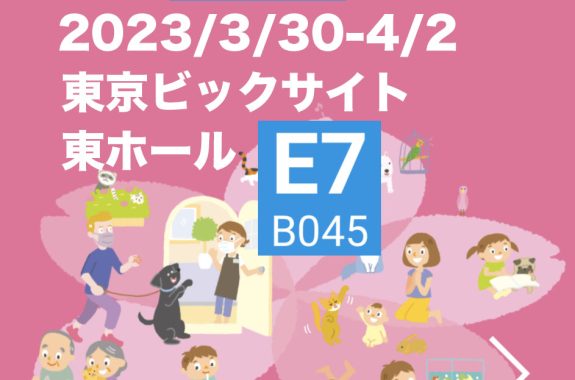 インター ペット 安い 2019 日程